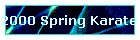 2000 Spring Karate Tournament
